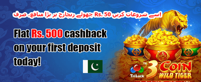 دوست کو لائیں، بونس پائیں promotion banner
